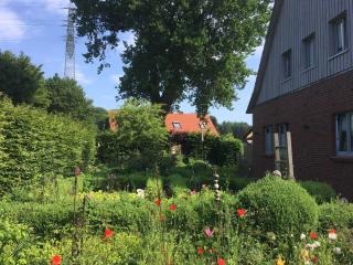 Landidyll - Uelzen - 5