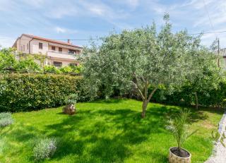 LAVANDA MASLINA - NEW LUXURY APARTMENTS - Pula - 8
