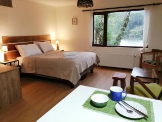 Casa Río Vivo - Valdivia - 4