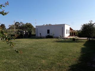 B&B Arcafelice - Termoli - 1