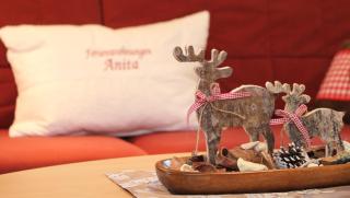 Ferienwohnungen Anita - Fieberbrunn - 4