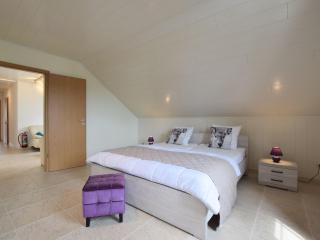 Quaint Apartment in Vielsalm with Private Terrace - Vielsalm - 6