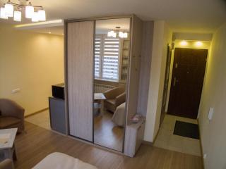 Studio Park Saski 1 & 2 - Sandomierz - 5
