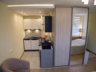 Studio Park Saski 1 & 2 - Sandomierz - 7
