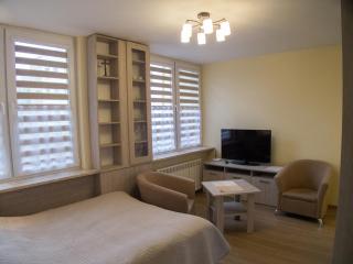 Studio Park Saski 1 & 2 - Sandomierz - 9