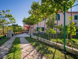 Apartment Adriana by Interhome - 8