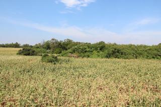 Ancient Official Road Homestay - Jinhu - 3
