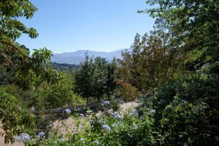 Bartinney Private Cellar Banhoek - 5
