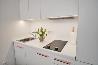 Cosy studio near Akropolis and Švyturio arena - 2