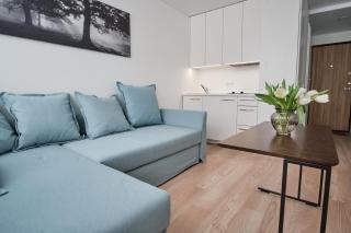 Cosy studio near Akropolis and Švyturio arena - 8