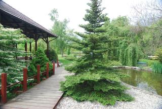 Ivanek guest house - Zvíkovské Podhradí - 3