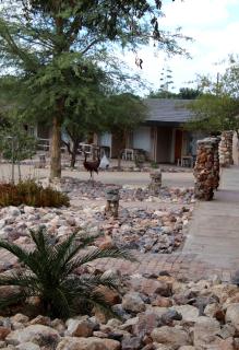 Etotongwe Lodge - Outjo - 6