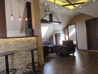 VECTOR apartments - Zlatibor - 6