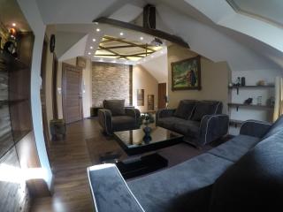VECTOR apartments - Zlatibor - 0