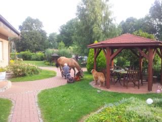Doppelzimmer im Spreewald - Burg - 9