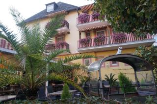 Hotel Rüdesheimer Hof - Rüdesheim am Rhein - 8