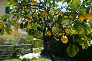 L'Angolo di Lore B&B - 7