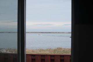 Robbins by the Sea - 5