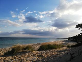 B&B Vie En Rose - Porto Cesareo - 3