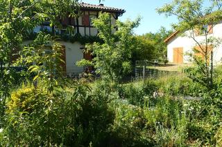 Ricouch, chambre d'hôtes et permaculture - Momuy - 3