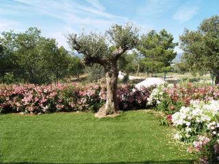 Lagrange Vacances - Green Bastide - Roquebrune-sur-Argens - 6