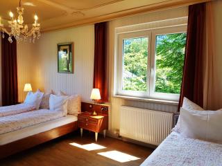 Aparthotel Pan Haus - Bad Ischl - 5