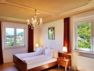 Aparthotel Pan Haus - Bad Ischl - 4