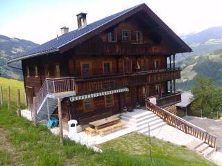 Bauernhaus Fankhauser - Hippach - 6