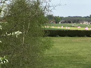 La Levraudière - Cheverny - 9