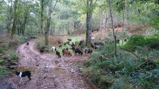 Posada Restaurante Casa Juanchu - 1
