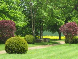Le domaine de Beaufai - Beaufai - 8