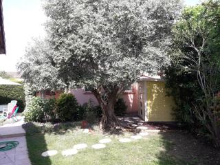 Les Cyprès Florentins - 1