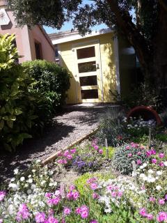 Les Cyprès Florentins - Colomiers - 3