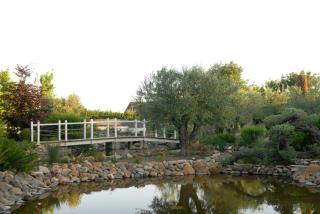 Resort Villa Domus Petra - Zagarolo - 6