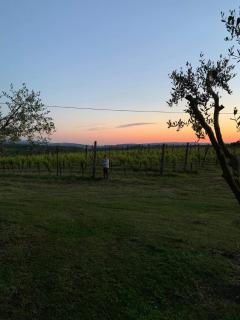 Villa Chiccheio Rooms - Montepulciano - 6