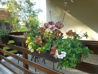 Holiday home, Apartman Obajdin - 2