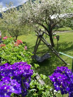 Bio Naturhof Ottingerhof - Bad Kleinkirchheim - 4