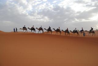 Summer Camp - Merzouga - 2