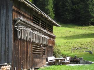 Ferienhaus Schnetzer - Sankt Gallenkirch - 5