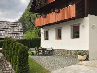 Apartma-BUOVC - Bohinj - 0