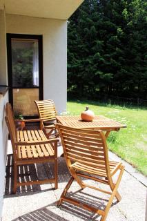 Spacious house at the gate of Giant Mountains - Víchová nad Jizerou - 5
