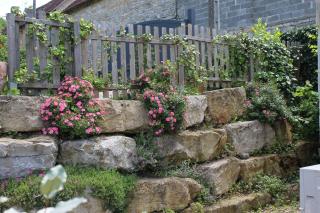 A l'Oree des Cazelles - Saint-Pierre-Toirac - 6