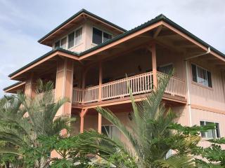 Coconut Palms Vacation Rental near lava fields and beaches - Kehena - 0