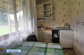 Затока 1 - Svityazʼ - 1