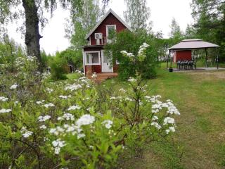 Dacha Juva - Juva - 0