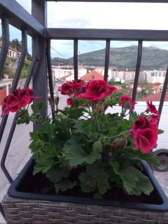 Sun City Apartments - Trebinje - 2