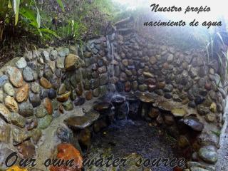 Ecorefugio Las Mirlas - Salento - 4