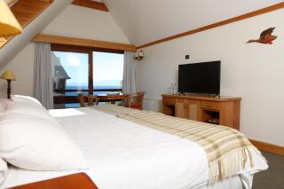 Hotel Puelche - Puerto Varas - 2