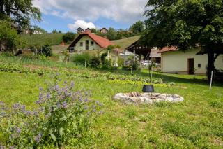 Domačija Vesel - Trebnje - 0