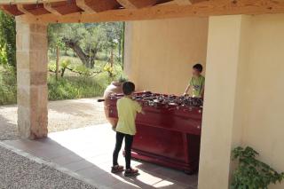 Maset del Riu - Valderrobres - 5